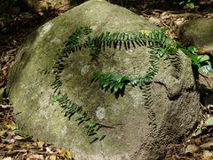 -七仙岭温泉国家森林公园