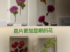 -中国湿地博物馆