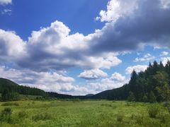 -塞罕坝国家级自然保护区