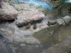 -福州罗源湾海洋世界旅游区