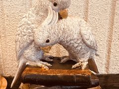 -LE MISSMORE餐酒吧(茉念西里店)