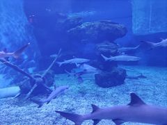 -多彩贵州城极地海洋世界