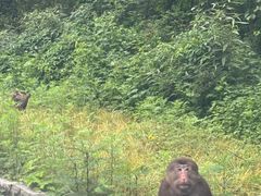 -西岭雪山大飞水景区