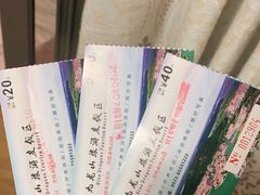 -平湖九龙山旅游度假区