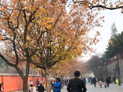 -大雁塔北广场音乐喷泉