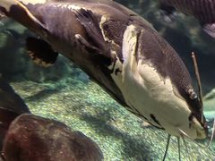 -太平洋海底世界