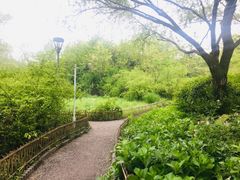 -新江湾城公园