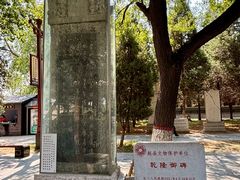 -赵州桥景区