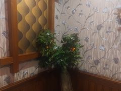 -魔指印象(西藏旗舰店)