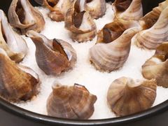 -香然会·园林雅宴(陆家嘴店)