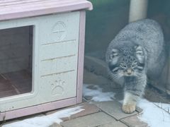 -青藏高原野生动物园