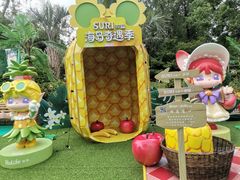 -苏州乐园森林水世界