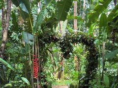 -中国科学院西双版纳热带植物园