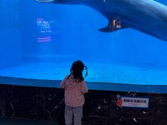 -海合安成都极地海洋公园