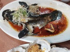 -马王堆海鲜水产市场