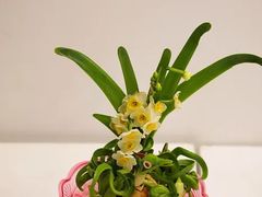 -共青国家森林公园-售票处