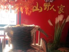 -宣威山野人家·云南菜·菌火锅(金碧店)