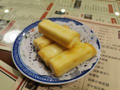 炸牛奶-捷信牛奶甜品世家(五道口店)
