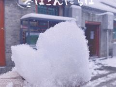 -VOYAGE COFFEE(北锣鼓巷店)