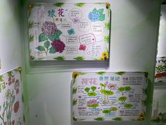 -上海昆虫博物馆