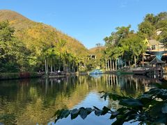 -西双版纳原始森林公园