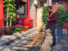 -百好乐宠物友好餐厅(朝外大街店)