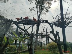 -武汉动物园