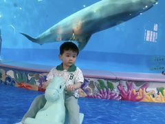 -合肥海洋世界