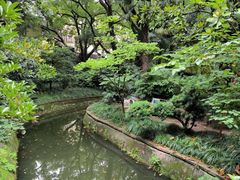 -复旦大学附属华山医院(总院)