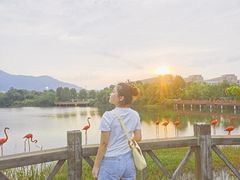 -福州大学(旗山校区)