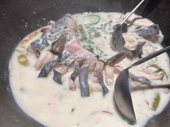 -鲜潭蒸汽石锅鱼(五道口购物中心店)