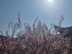 -堤角公园