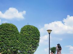 -东莞植物园