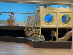 -酷游亲子游泳中心