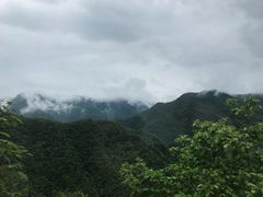 -牛背梁国家森林公园