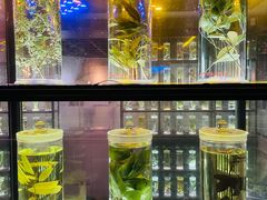 -广东中医药博物馆