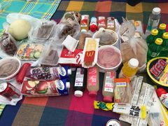 -春花秋色城市公园