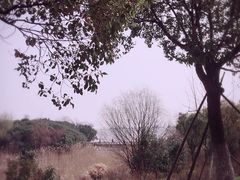 -吴淞炮台湾湿地森林公园烧烤区