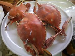 -毕家疃综合市场