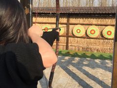 -合肥滨湖国家森林公园