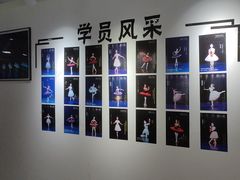 -中央芭蕾舞团·中芭艺蕾(酒仙桥明星校区)