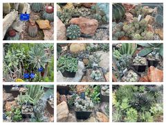 -国家植物园南园
