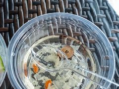 -龙佳生态温泉山庄