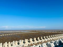 -南汇嘴观海公园