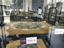 -太湖雪蚕桑文化园