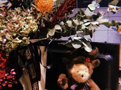 -植物学家的女儿(北马道巷店)