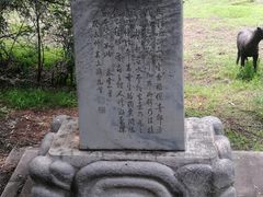 -北京麋鹿生态实验中心