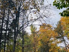 -洛阳白云山景区