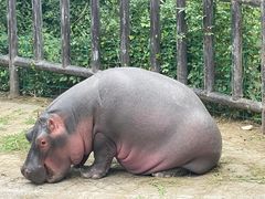 -济南野生动物世界
