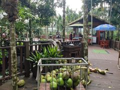 -七仙岭温泉国家森林公园